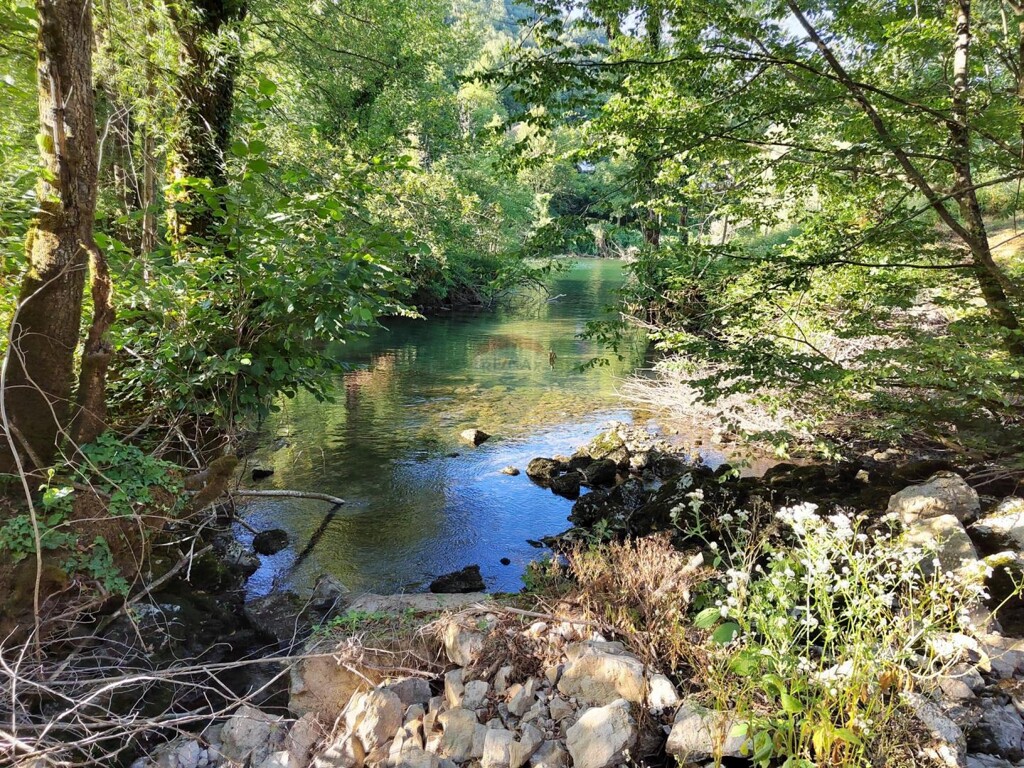 Image 6151435 - 11