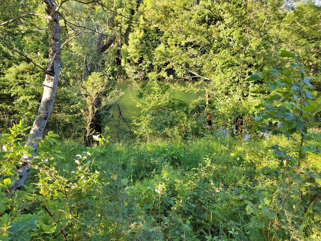 Image 6151435 - 7