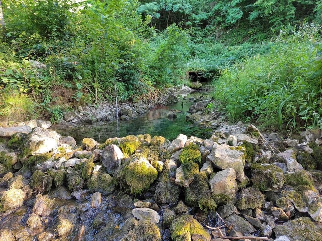 Image 6151435 - 15