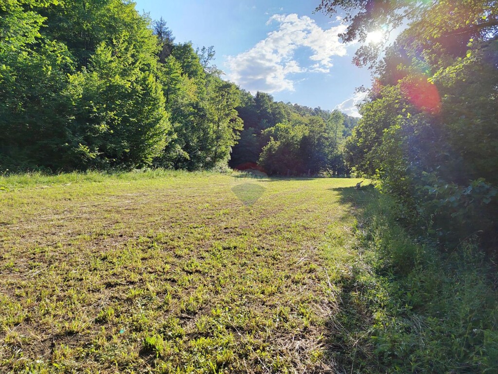 Image 6151435 - 8