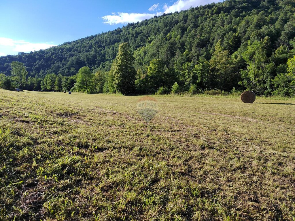 Image 6151435 - 14