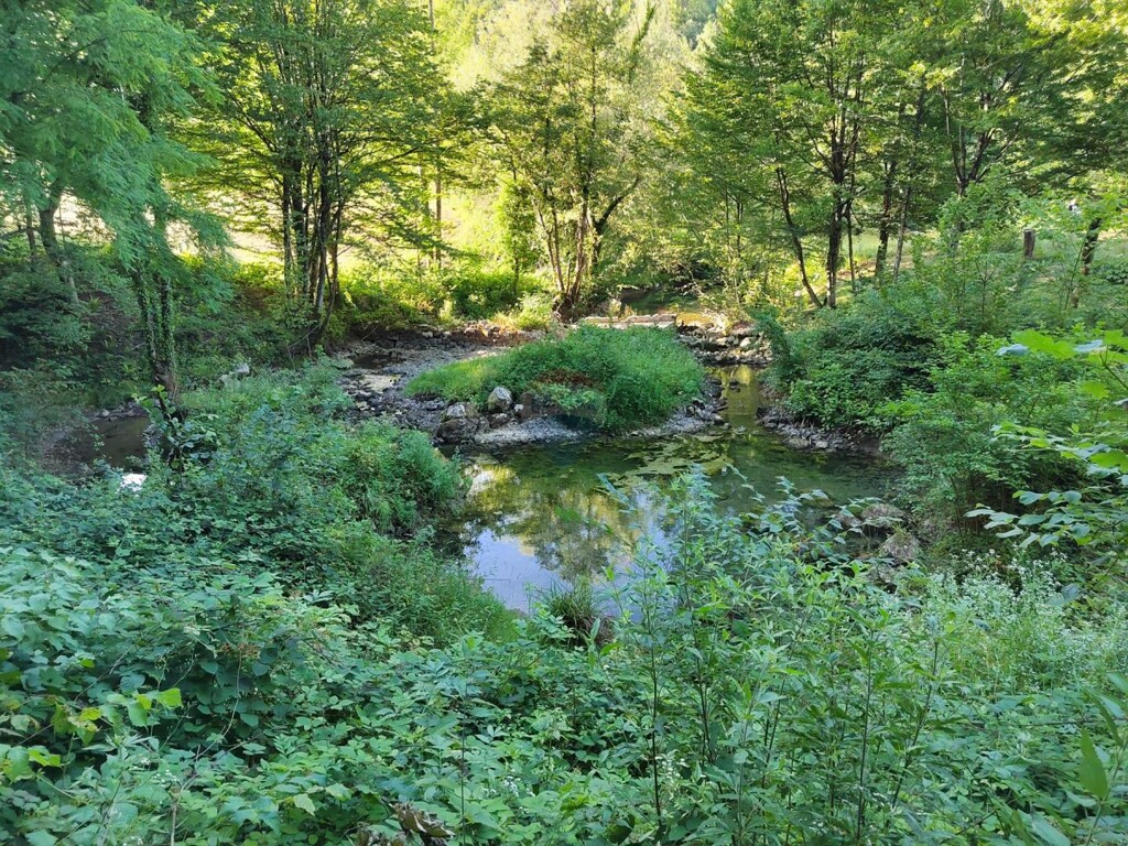 Image 6151435 - 12