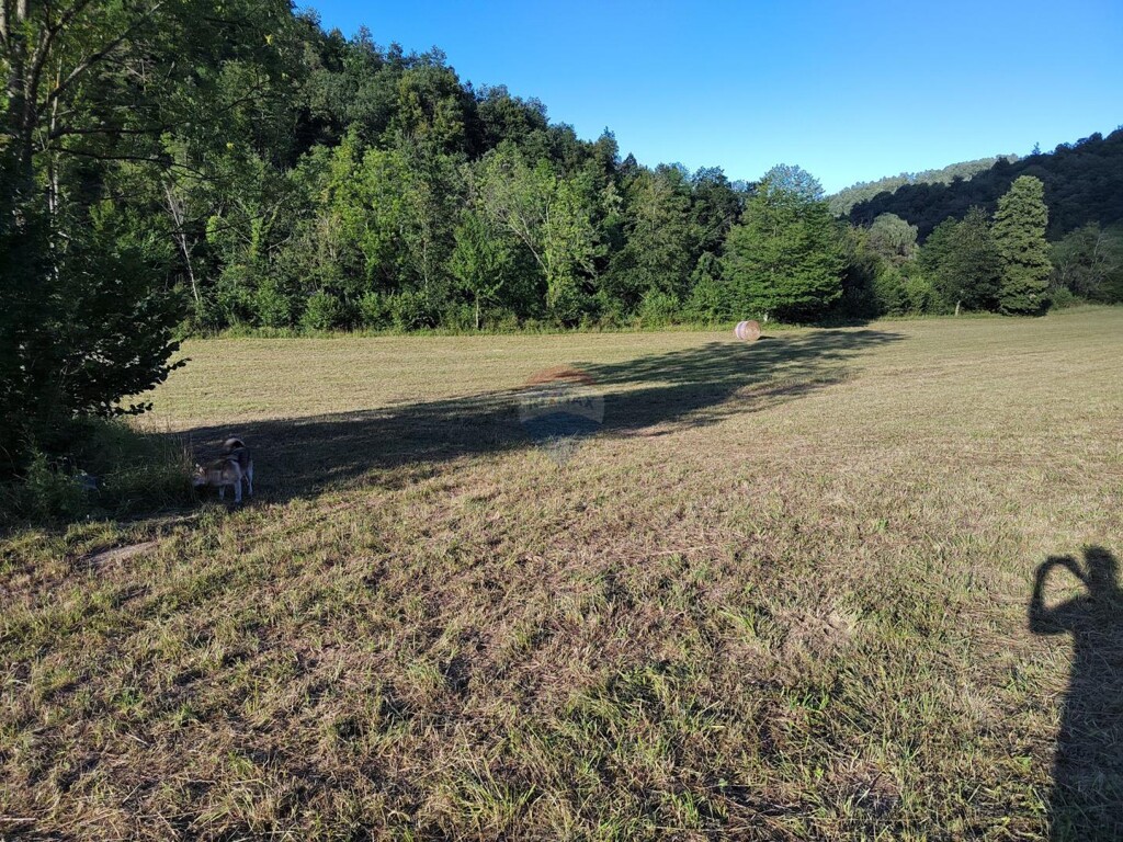 Image 6151435 - 6