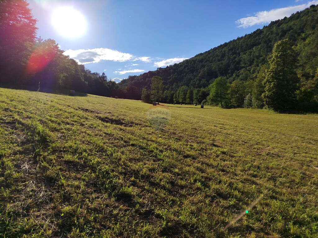 Image 6151435 - 10