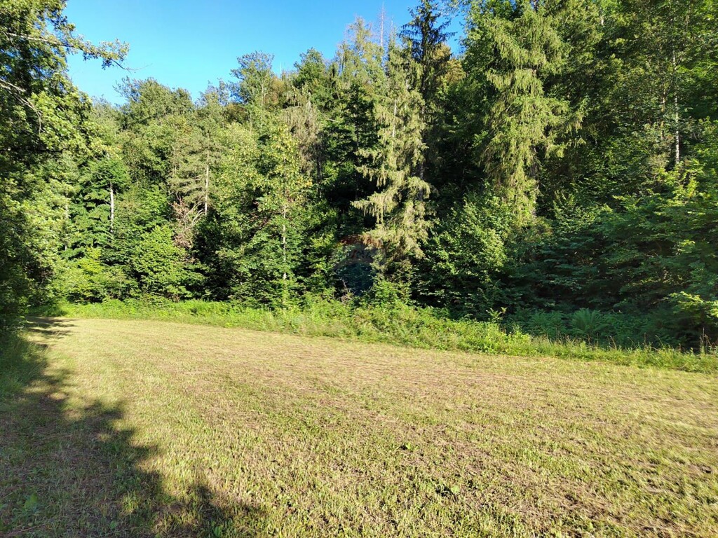 Image 6151435 - 9