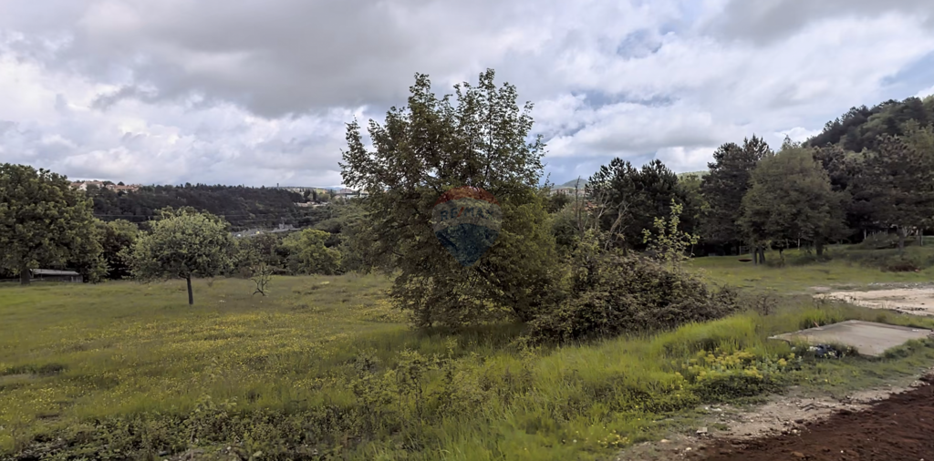 Image 6151436 - 1