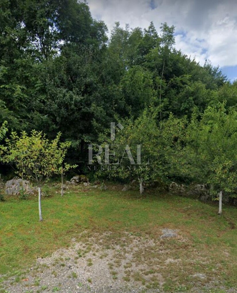 Image 6151487 - 7
