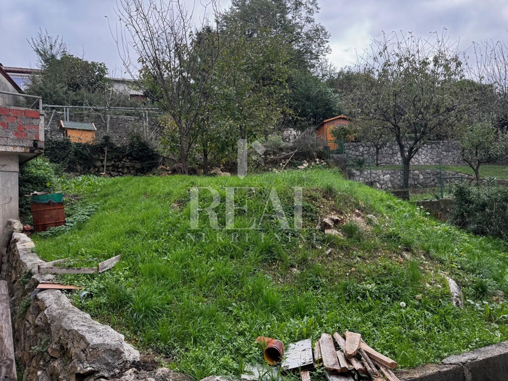 Image 6151492 - 11
