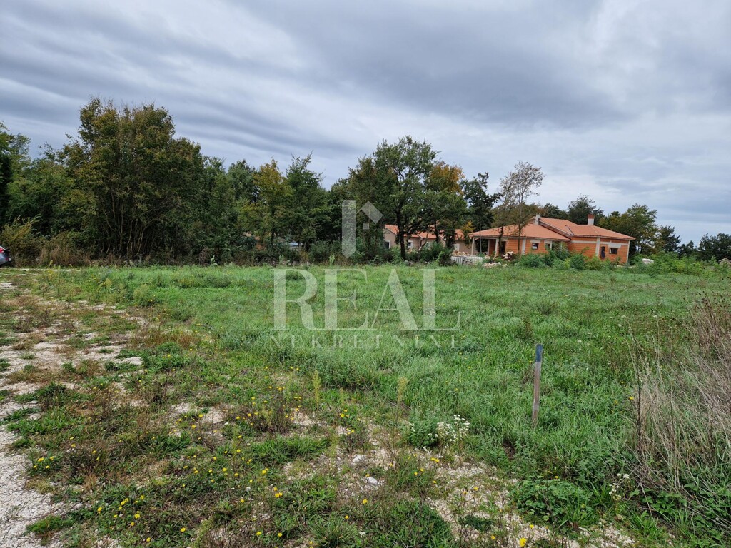 Image 6151506 - 2