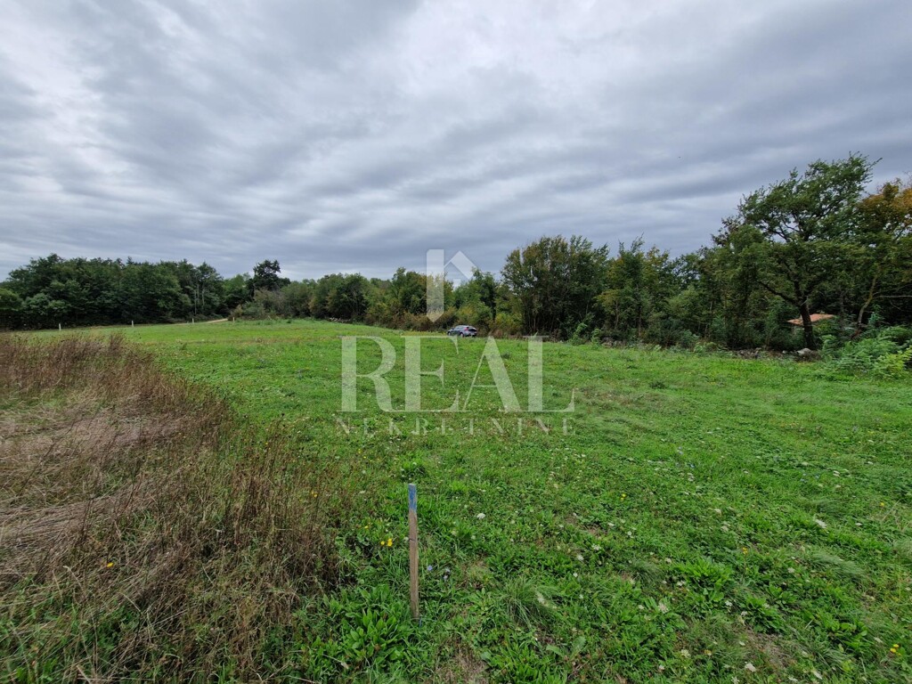 Image 6151506 - 3