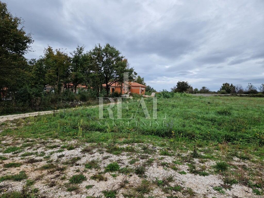 Image 6151506 - 1