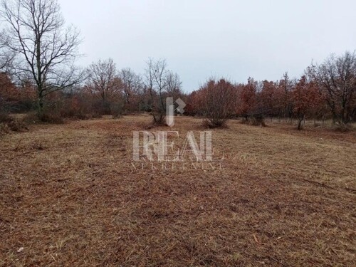 Thumbnail 6151533 - 2