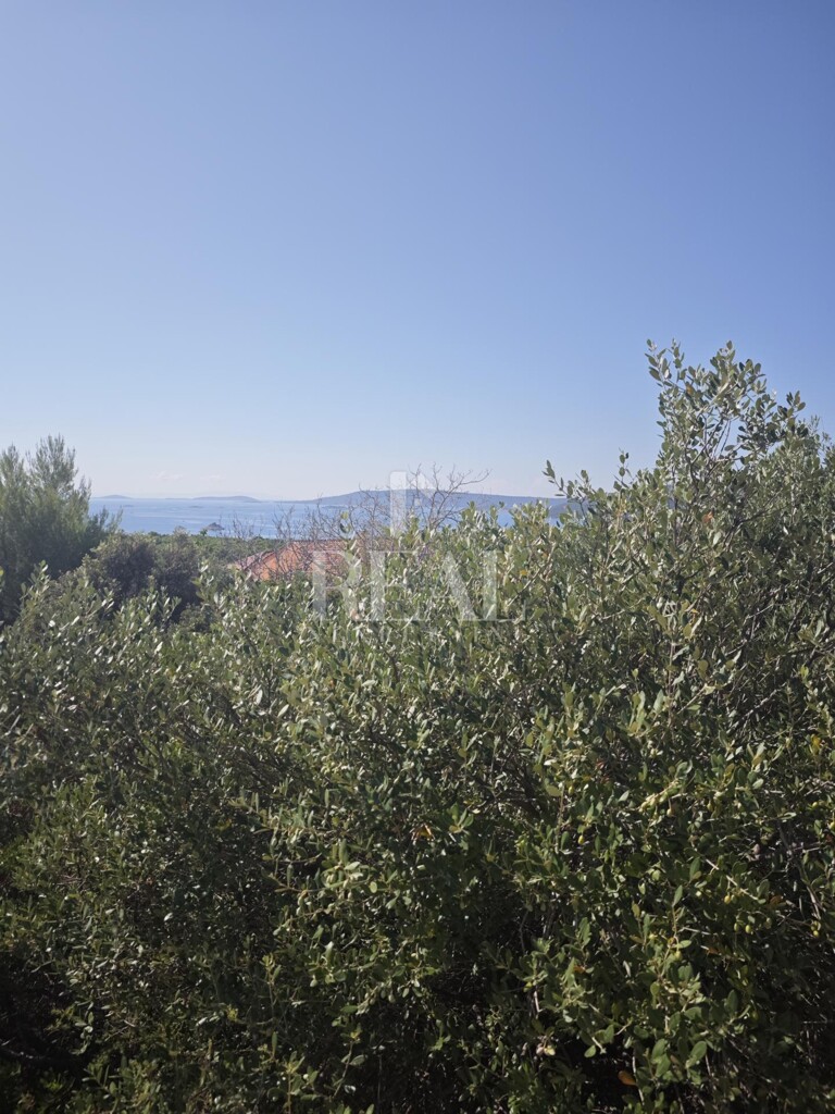 Image 6151539 - 1