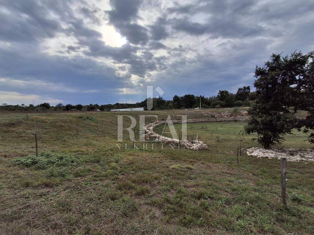 Image 6151553 - 12