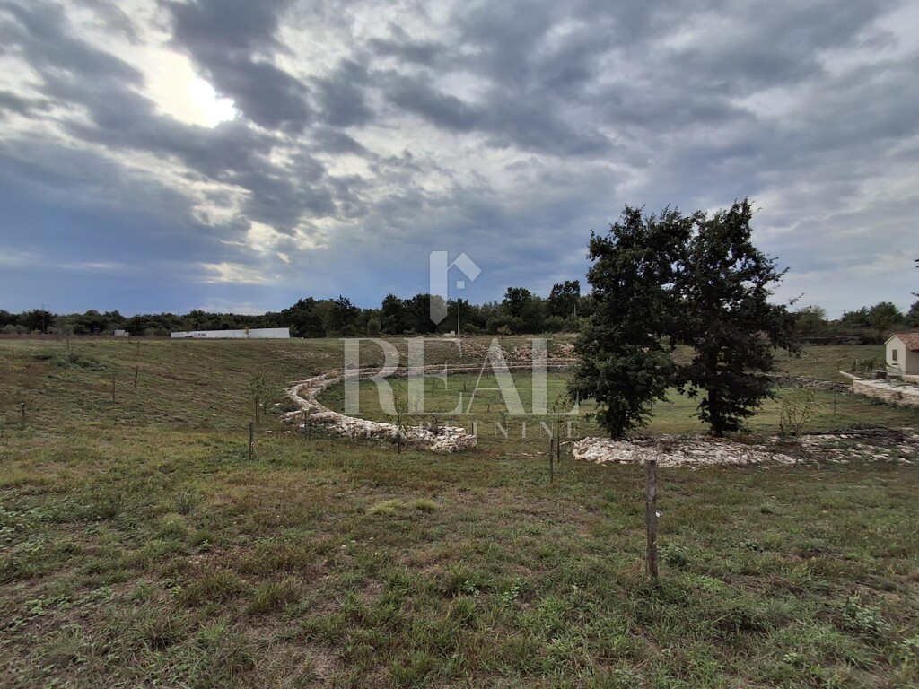 Image 6151553 - 15