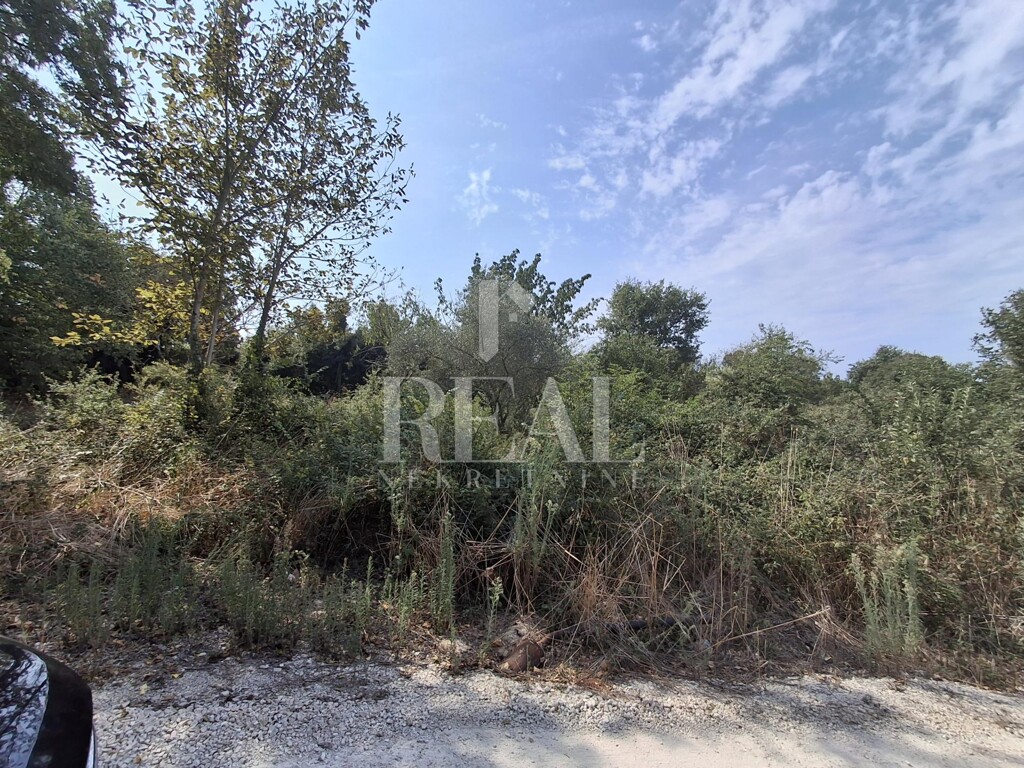 Image 6151625 - 4