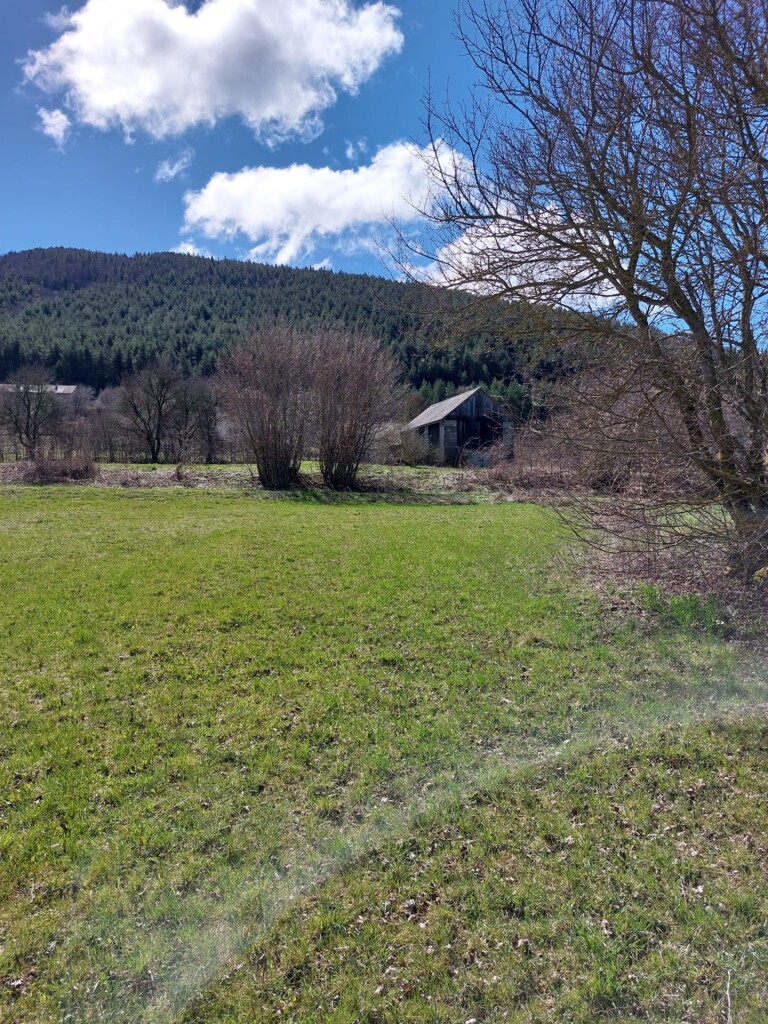 Image 6151662 - 5