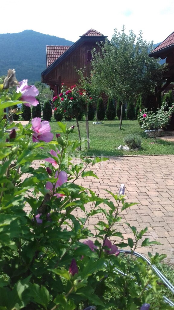 Image 6151663 - 12