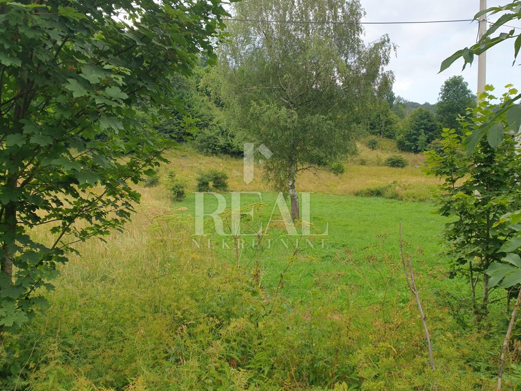 Image 6151674 - 4