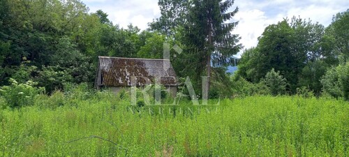 Thumbnail 6151679 - 3