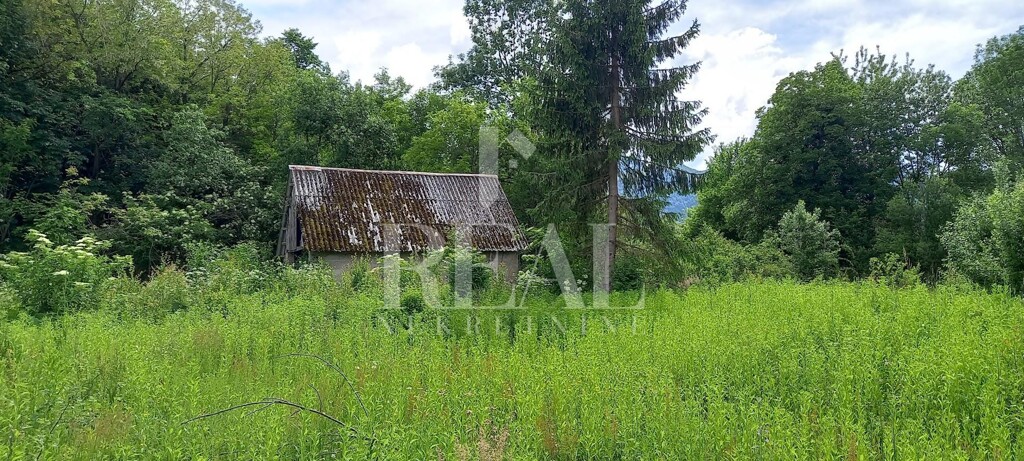 Image 6151679 - 3
