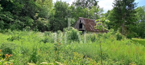 Thumbnail 6151679 - 10