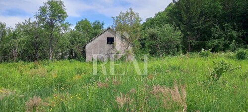 Thumbnail 6151679 - 1