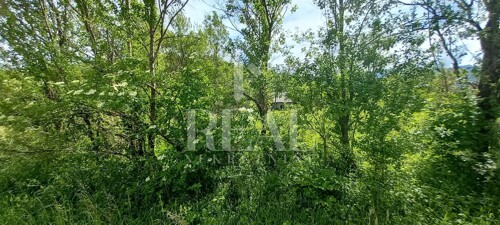 Thumbnail 6151679 - 8