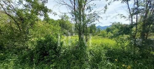 Thumbnail 6151679 - 9