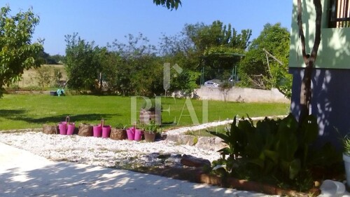 Thumbnail 6151694 - 6