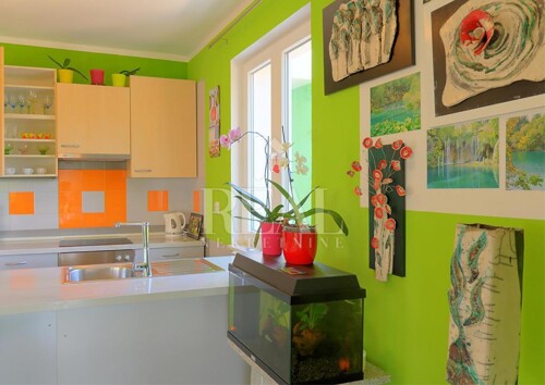 Thumbnail 6151694 - 13