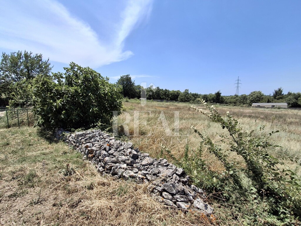 Image 6151699 - 1