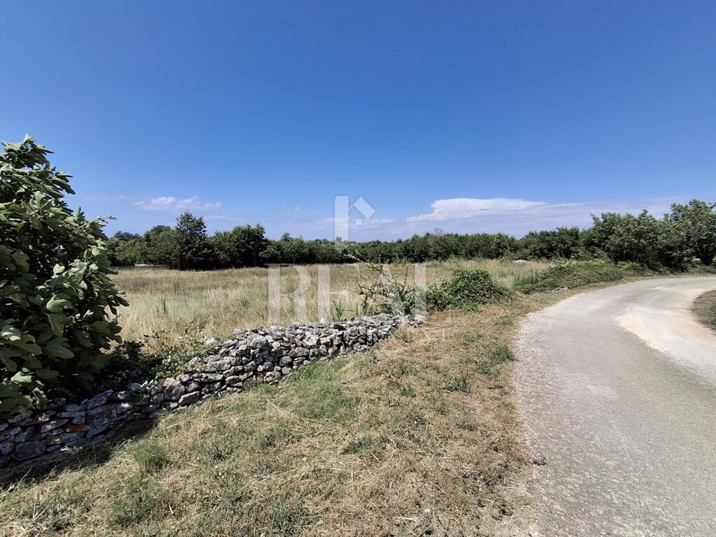 Image 6151700 - 1