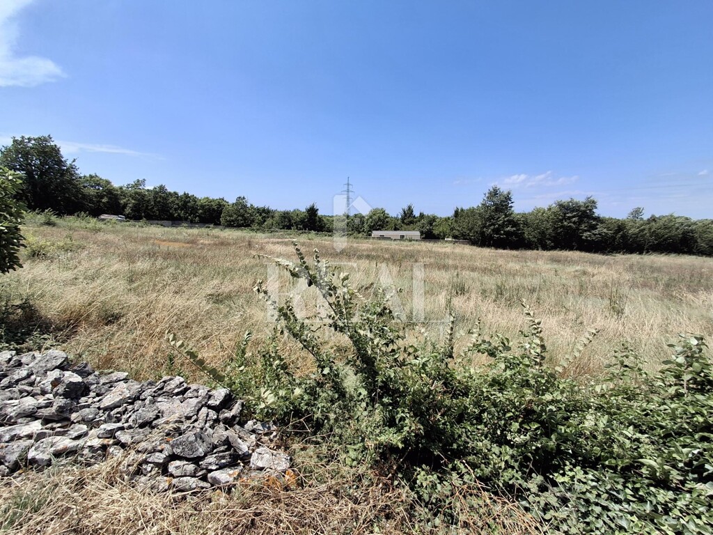 Image 6151700 - 2