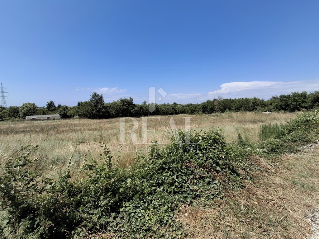 Image 6151700 - 3