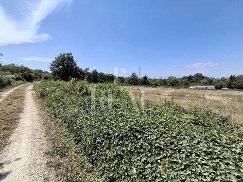 Thumbnail 6151701 - 3