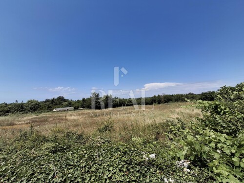Thumbnail 6151701 - 2