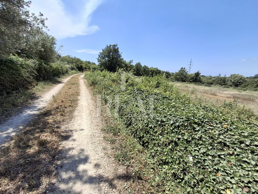 Image 6151701 - 1