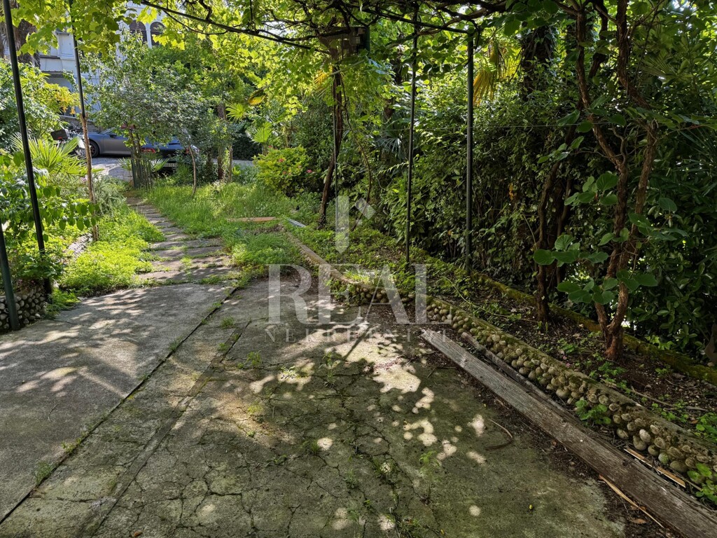 Image 6151747 - 2