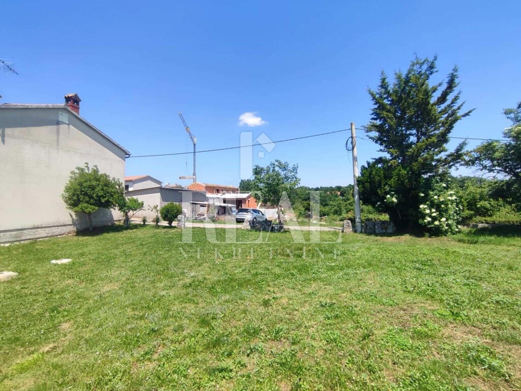 Image 6152189 - 5