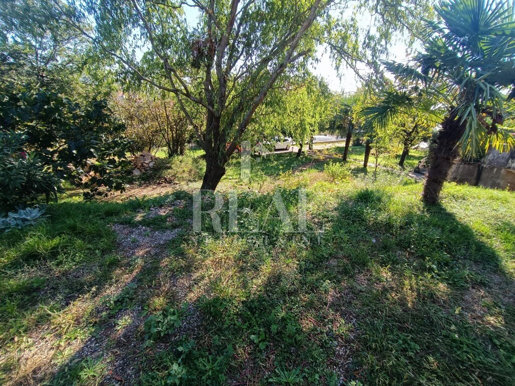 Image 6152242 - 3