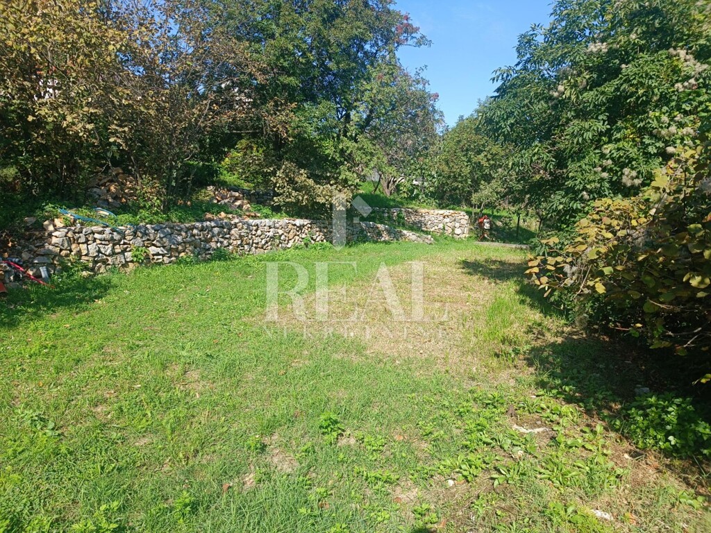 Image 6152242 - 1