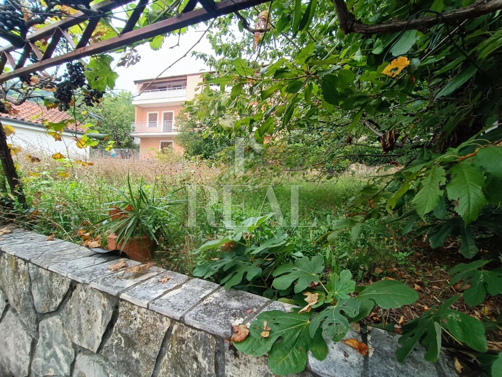Image 6152263 - 7