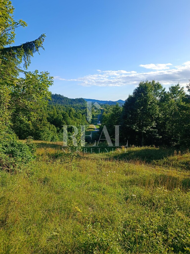 Image 6152289 - 4
