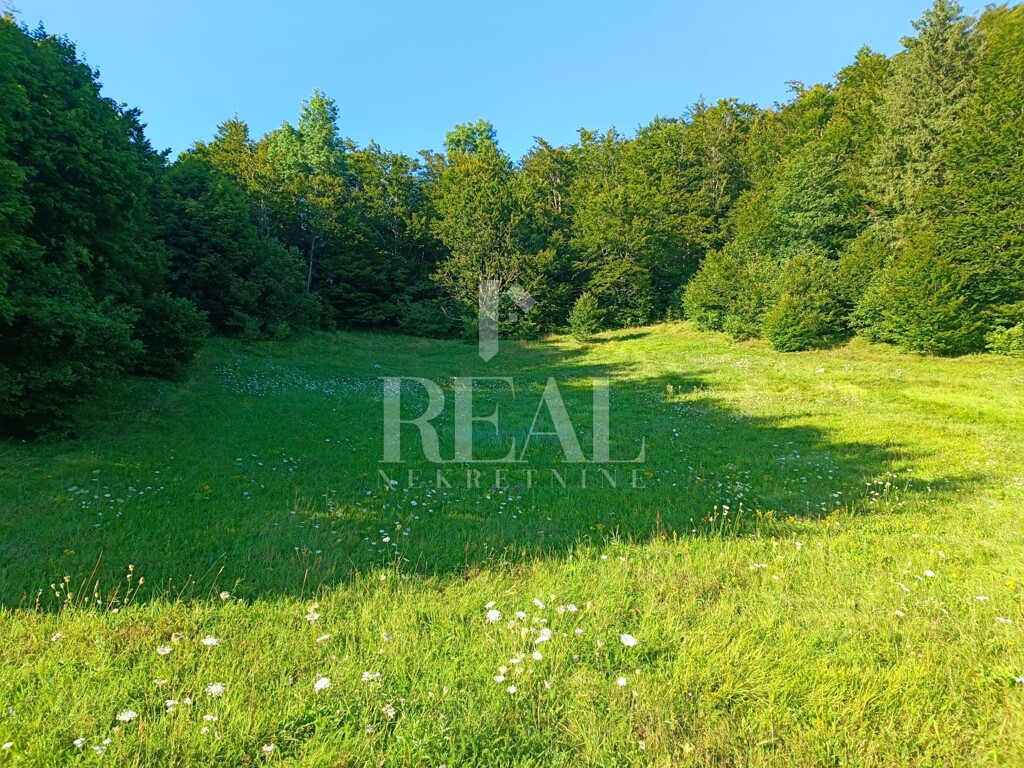 Image 6152289 - 5