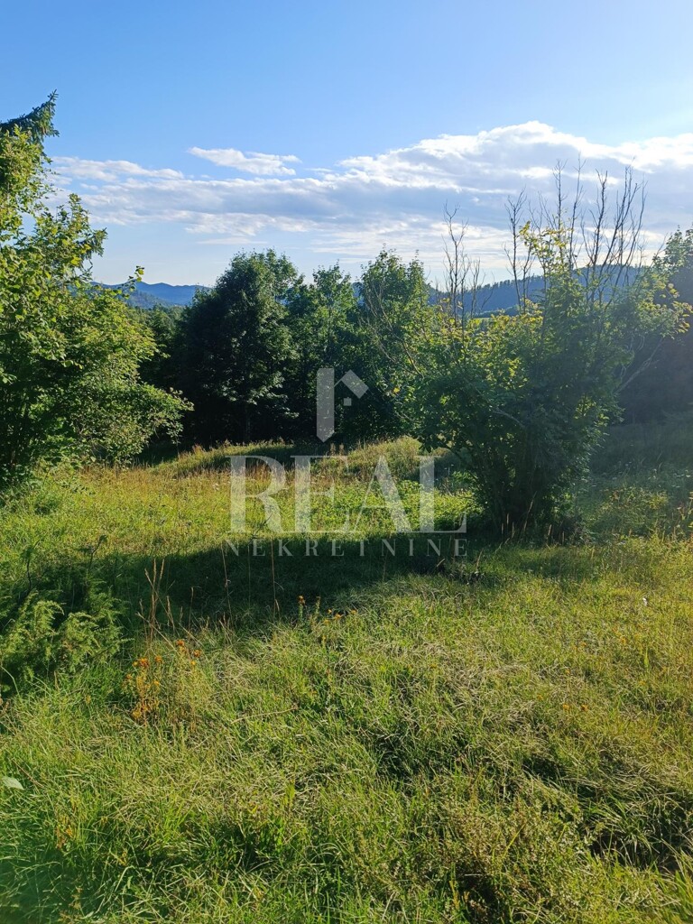 Image 6152289 - 3