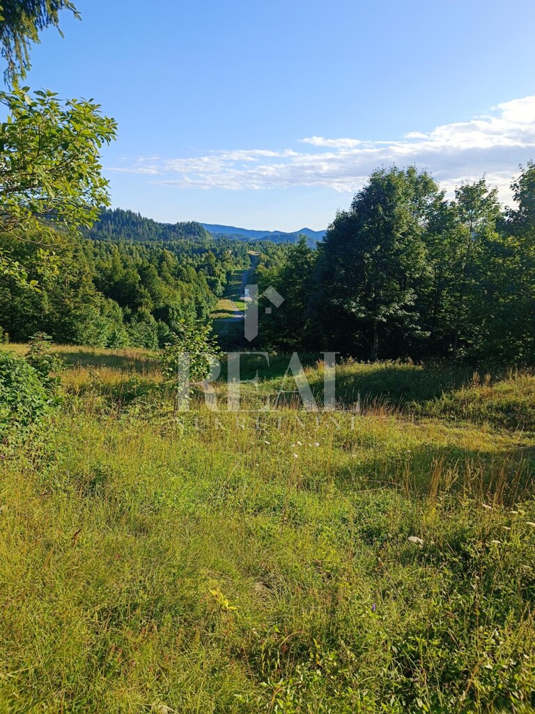 Image 6152289 - 1