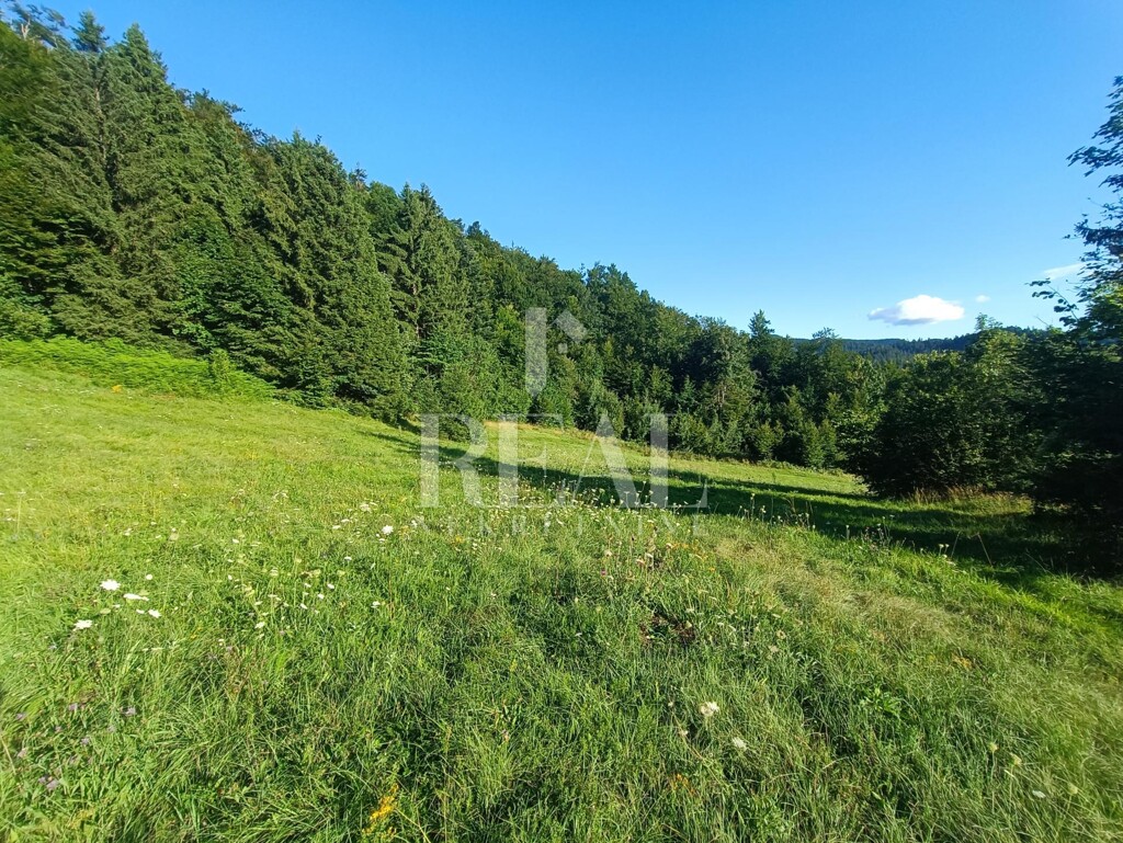 Image 6152289 - 2