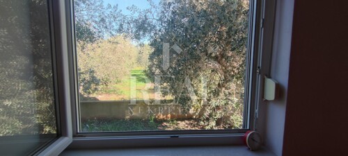 Thumbnail 6152407 - 4