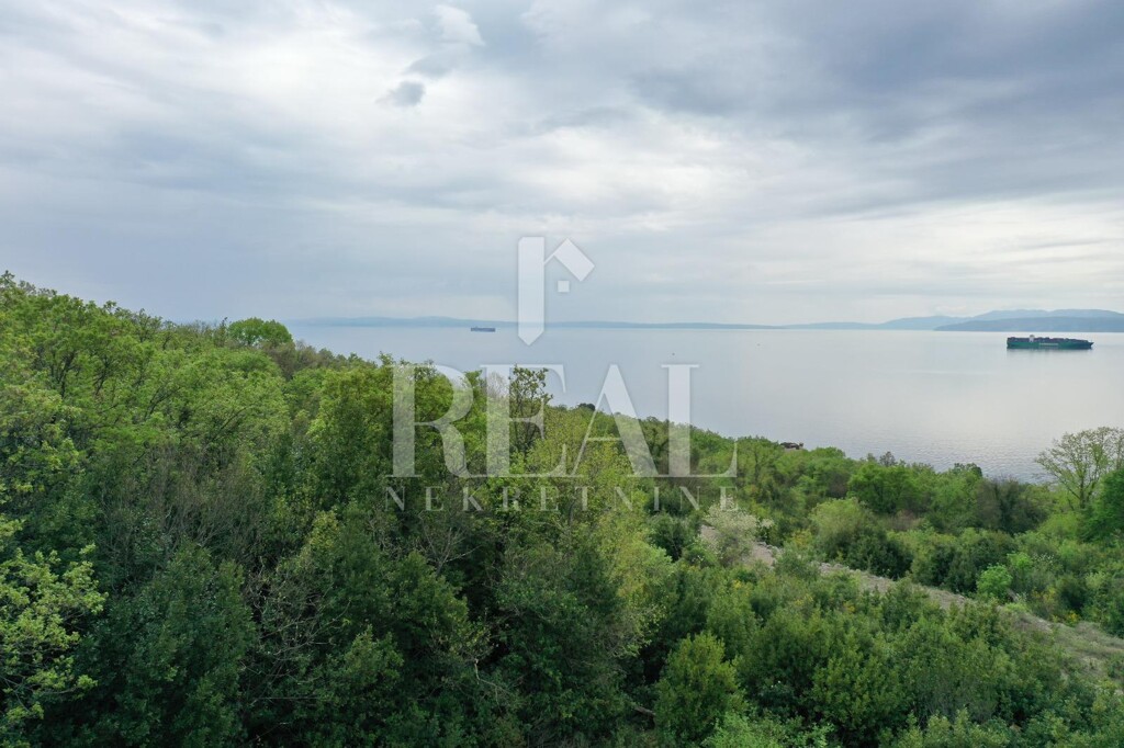 Image 6152419 - 2